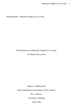 APA Title Page - Writing a Research Paper