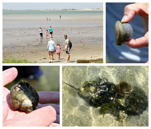 CC bay collage