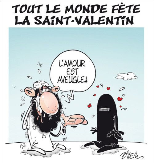 Voir plus d'idées sur le thème humour saint valentin, humour, blague. caricatures et histoires