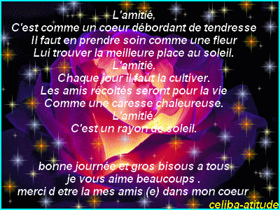 Poemes Et Citations D Amitie En Image