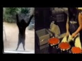 Video Старый конь борозды не портит.прикольн.
