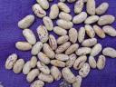 Beans