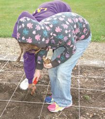 south haven tribune schools educationstudents