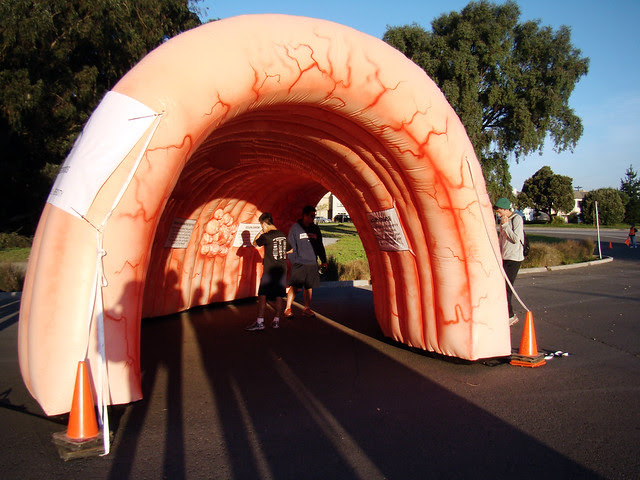 DSC07054 Strides for Life - Colon Cancer Foundation