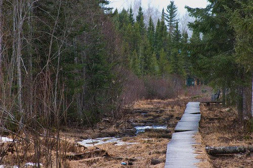 William Gull : Photo hike