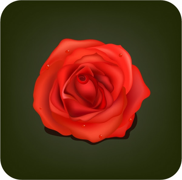 Download Rose free vector download (1,052 Free vector) for ...