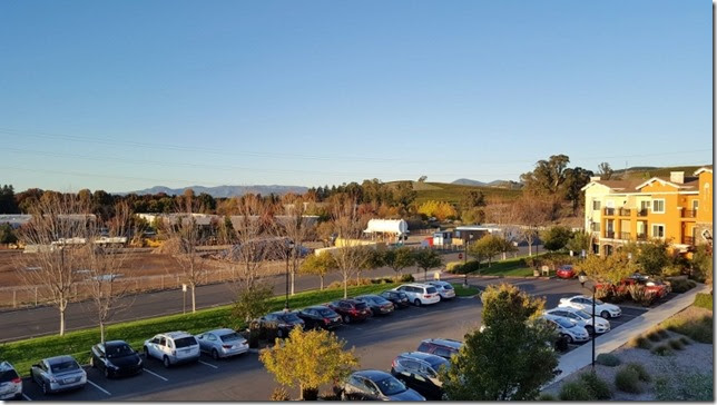 running in napa 2 (800x450)