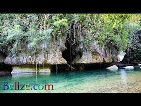 VIDEO : pharmacist jobs in chicago -  ...