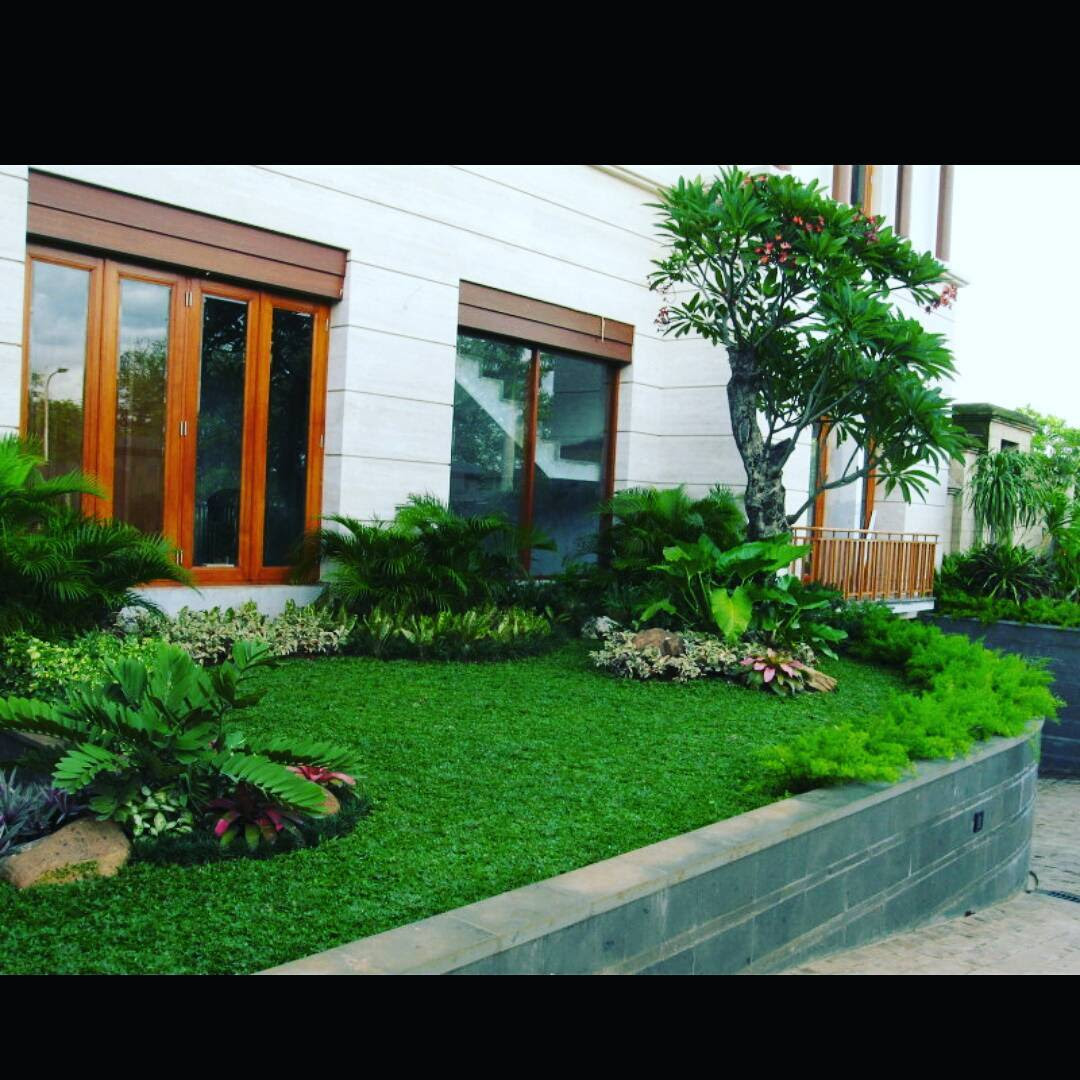 68 Desain Taman Rumah Minimalis Mungil Lahan Sempit Terbaru Dekor