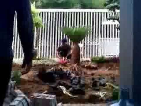 cara membuat taman rumah YouTube