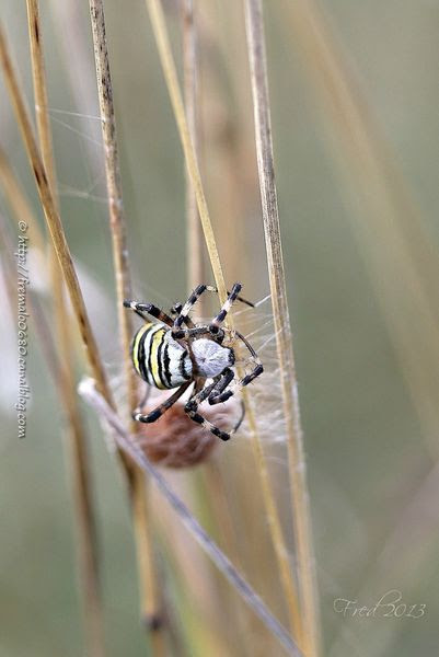 IMG_2306-signée