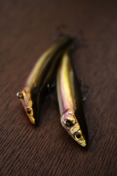 淡い希望の木片小魚 デンキチの木片小魚物語