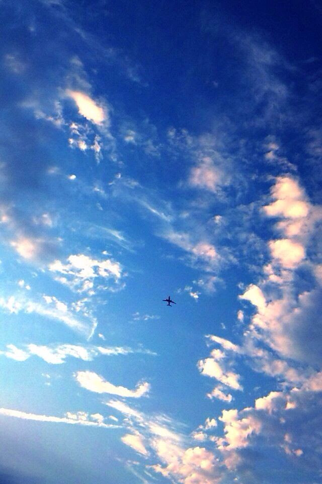 夏のiphone壁紙よこせや Iphoneまとめ