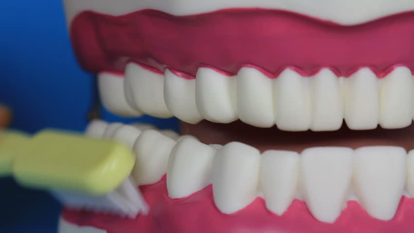 A Pair Of Teeth On A Background High Resolution Video 
