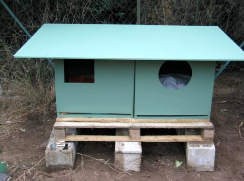 Coups De Coeur Abris Pour Chats Errants Association Les Chats Du Maquis