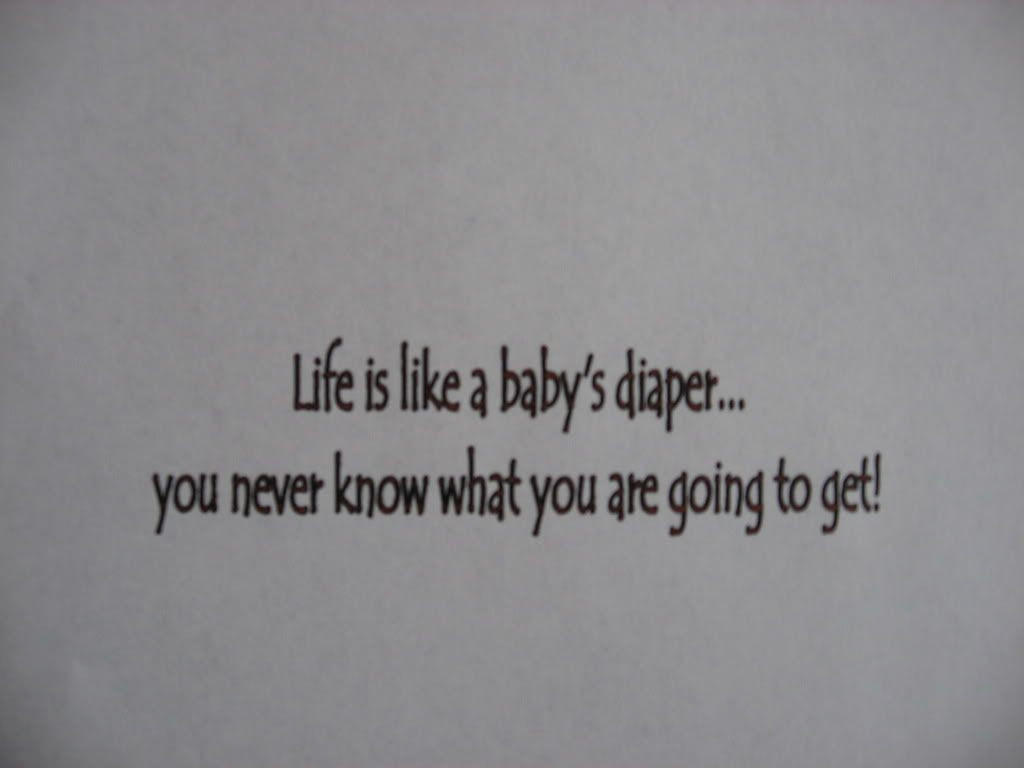 Life is like a baby's diaper... you never know what you are going to get