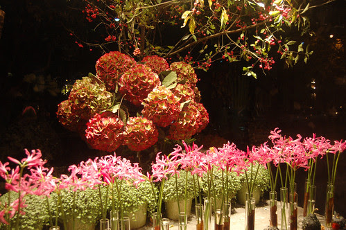 FlowerShopWindowAtnight