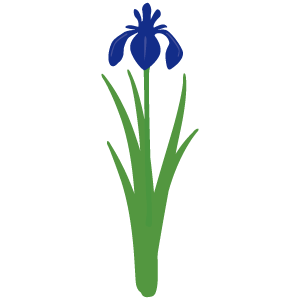 菖蒲アヤメのイラスト2 花 植物イラスト Flode Illustration フロデイラスト