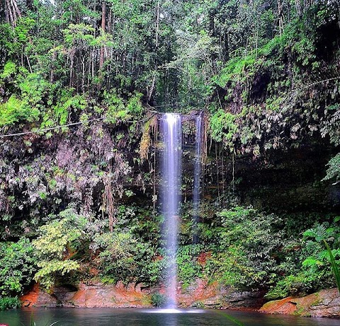 taman negara rainbow guest house