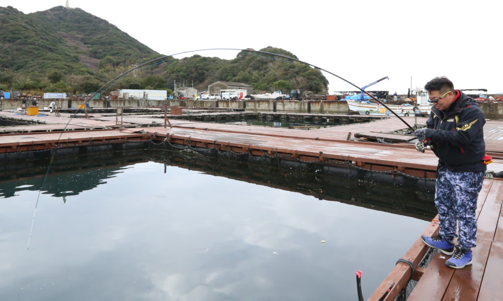 釣り堀の名人の釣り方は ミャク釣りで魚に違和感を与えず釣っていく 淡路島 福良 じゃのひれフィッシングパーク ニュース つりそく 釣場速報
