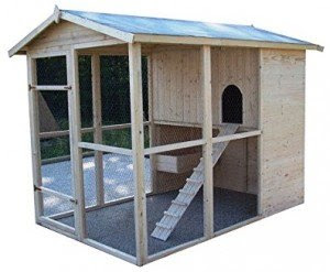 Choisir Un Poulailler Xxl 10 12 Poules Jardingue