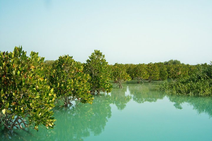 Qeshm