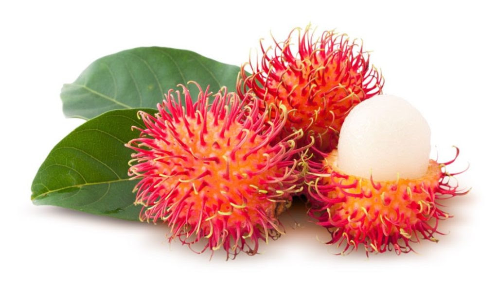 Rambutan - Daily nutrition for better life