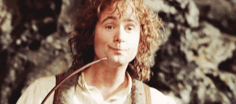 giphy Grab your weed, grab your snacks, theres going to be a Lord Of The Rings TV series