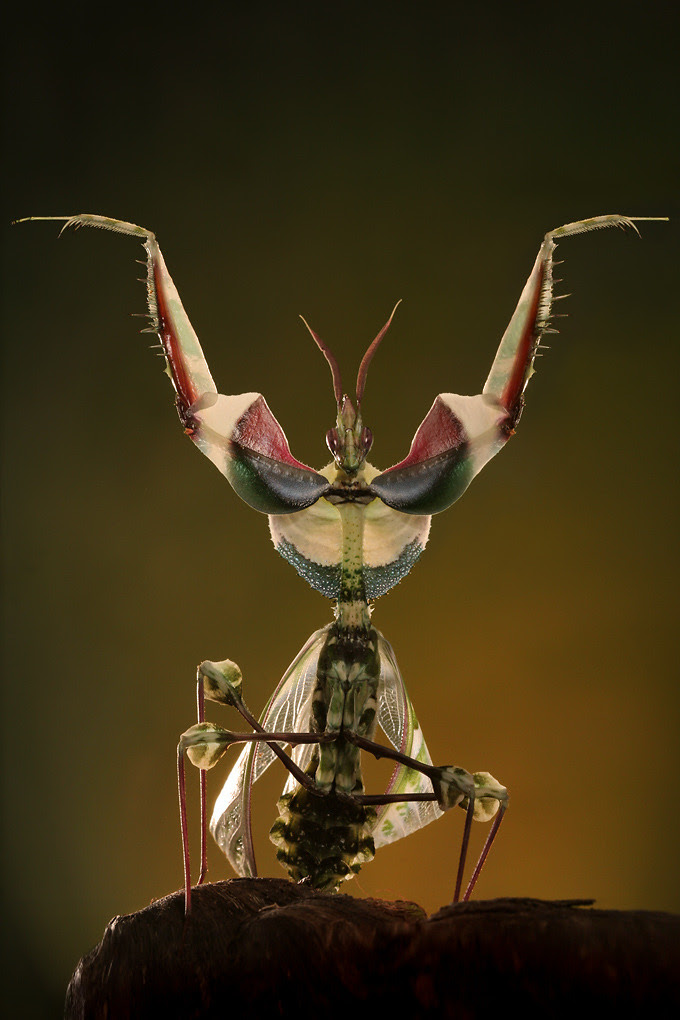 http://25.media.tumblr.com/e34b152f48c72aa64917d50d94d8c6b7/tumblr_mfyrnnfz5O1qeynhvo1_1280.jpg
