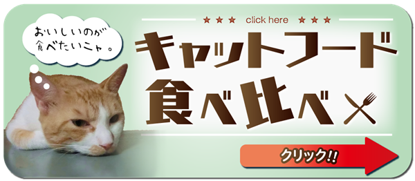 猫の肥満対策やおすすめのダイエット方法