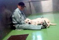 こだわり リバティアイランド