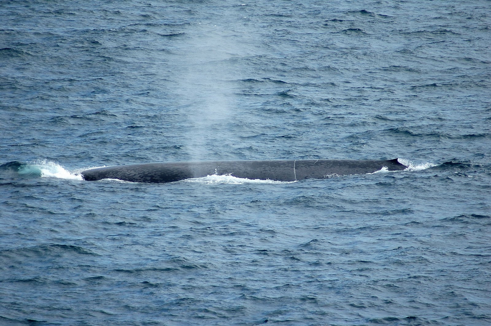 caravan journey insurance