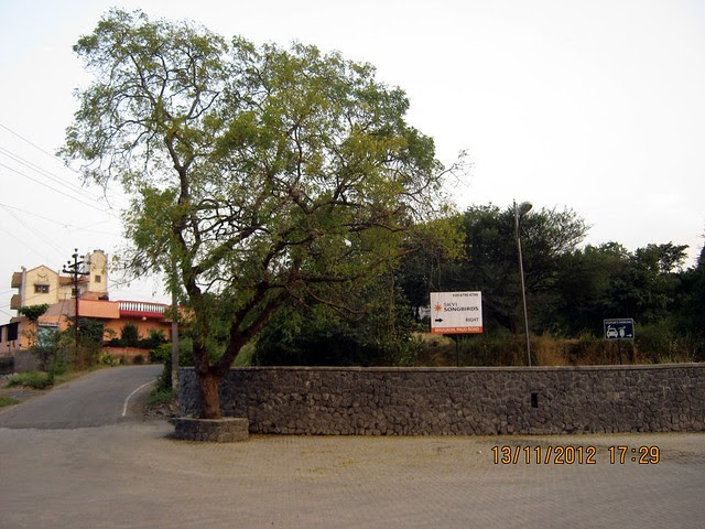 Visit SKYi Songbirds at Bhugaon, on Paud Road, Pune 411042