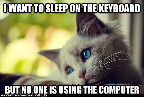 Fun Kitty