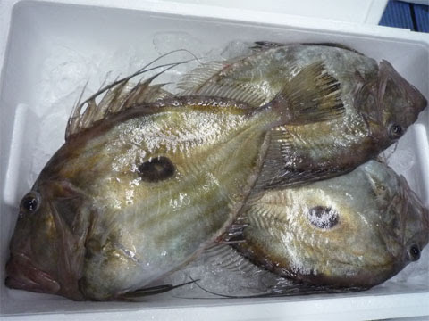 青森魚類 株式会社