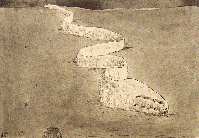 Alfred Kubin - Argwohn