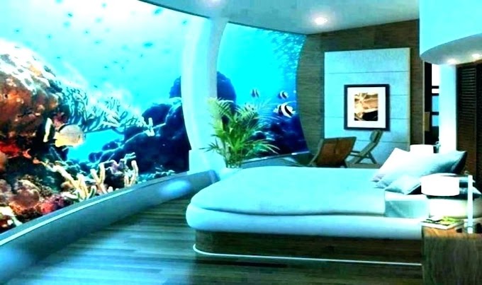 Beach Themed Bedroom Decorations - 17+ Beach Theme Bedroom Designs, Ideas | Design Trends ... : The refreshing environment of a beach along with the feeling of cold water under feets can relieve original coastal beach inspired bedroom.