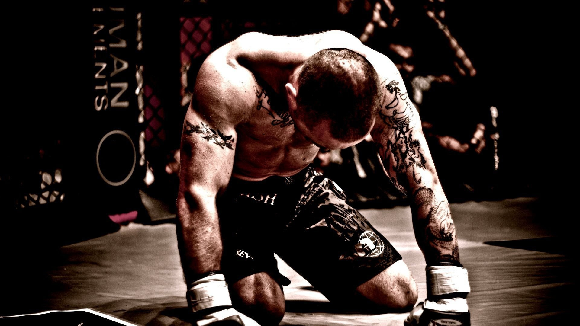 Hd Mma Wallpaper 68 Images