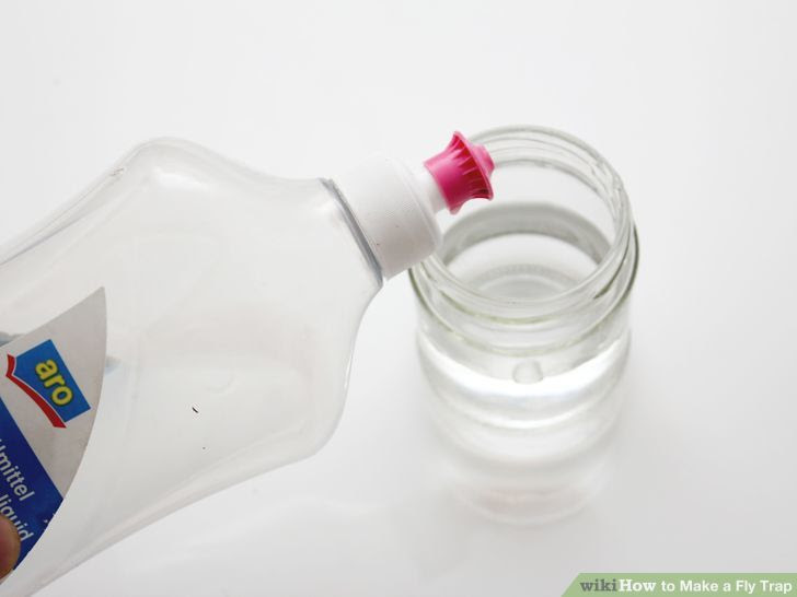 Make a Fly Trap Step 22 Version 3.jpg