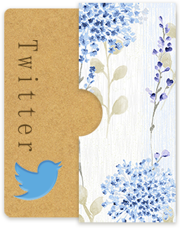 声優 立石めぐみ オフィシャルwebサイト