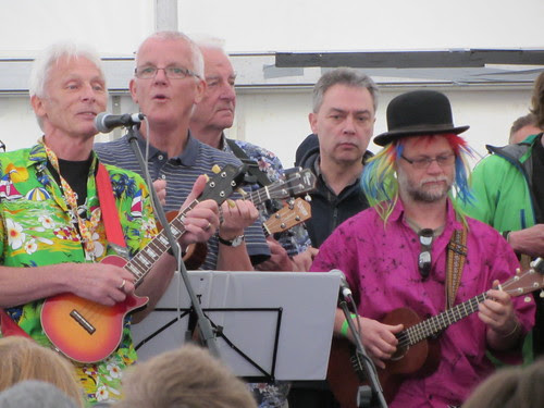 Ukulele Festival of Great Britain 2013