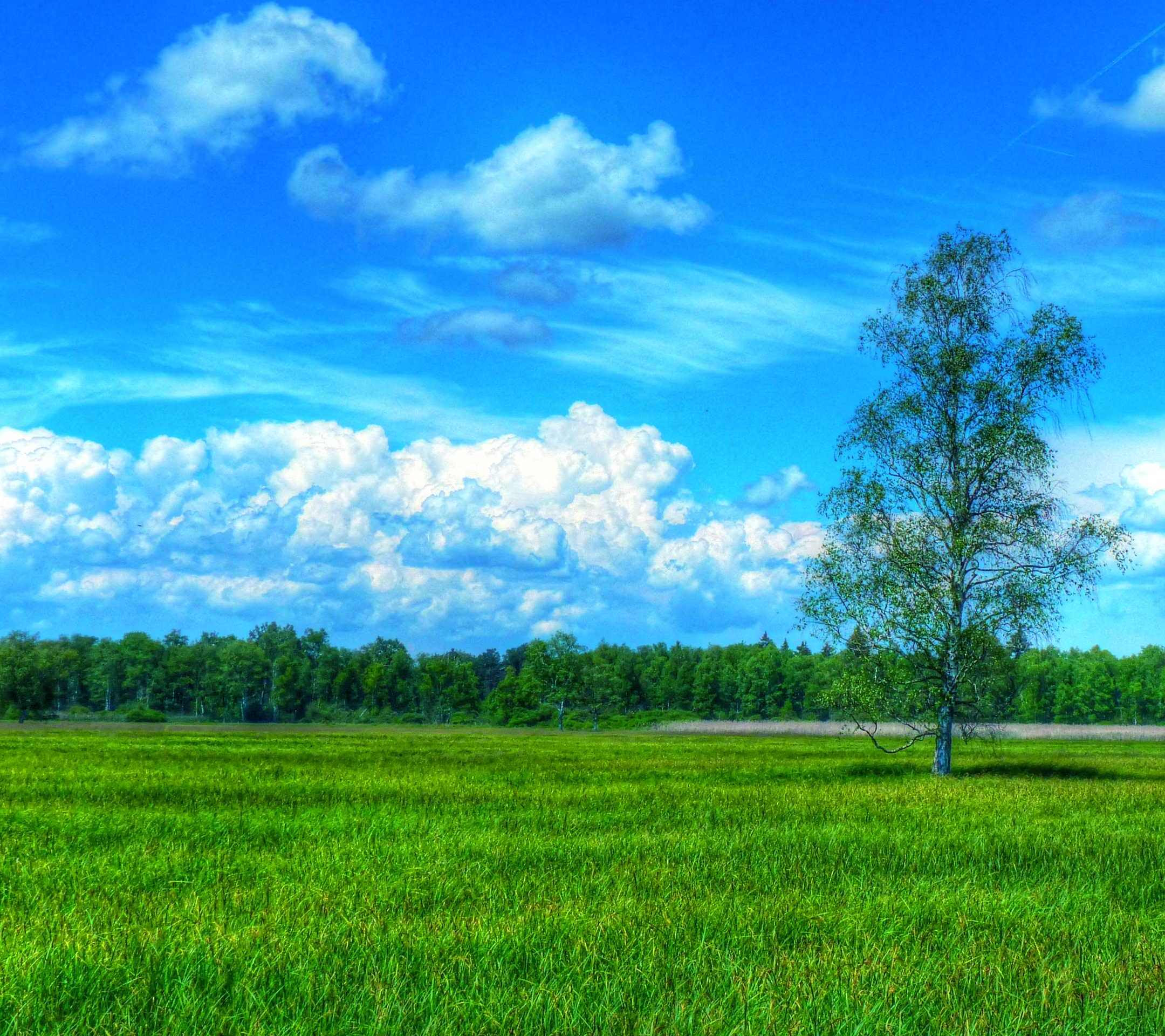 Pemandangan Hijau Padang Rumput Wallpapersc Android Pemandangan Hijau Padang Rumput Wallpapersc Android