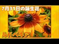 √完了しました！ 7 月 31 日 誕生 日 285090-7月31日誕生日 アニメ