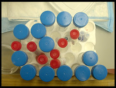red and blue caps