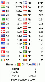 Flag Counter
