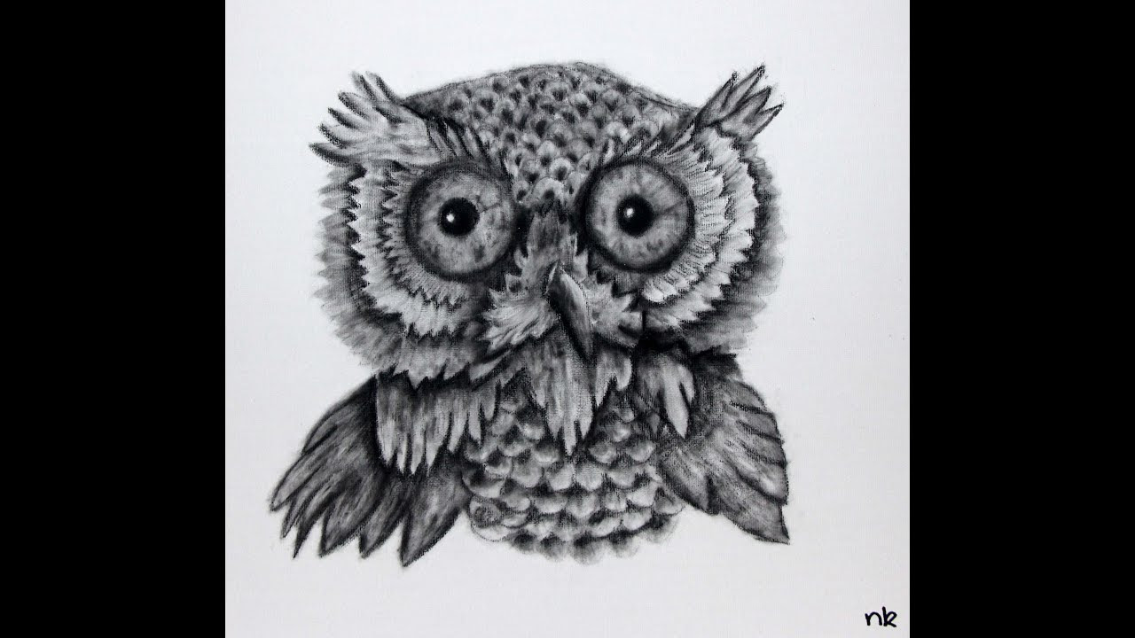 Speed Drawing - Owl in Charcoal on Canvas - YouTube