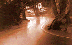 auto-immagine-animata-0223