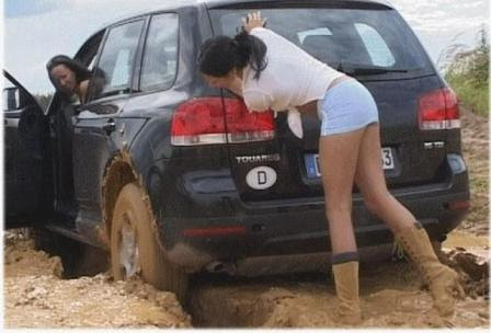 Bundaberg German Shepherd Dogs