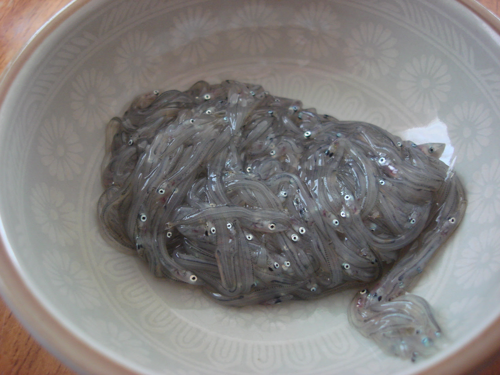 まっ茶のつぶやき 生小女子 初めての出会い