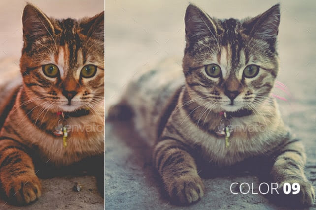 LUT-50---Photoshop-Color-Filter-FX-by-devotchkah-_-GraphicRiver